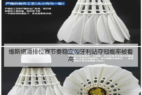 维斯塔潘排位赛节奏稳定匈牙利站夺冠概率被看高